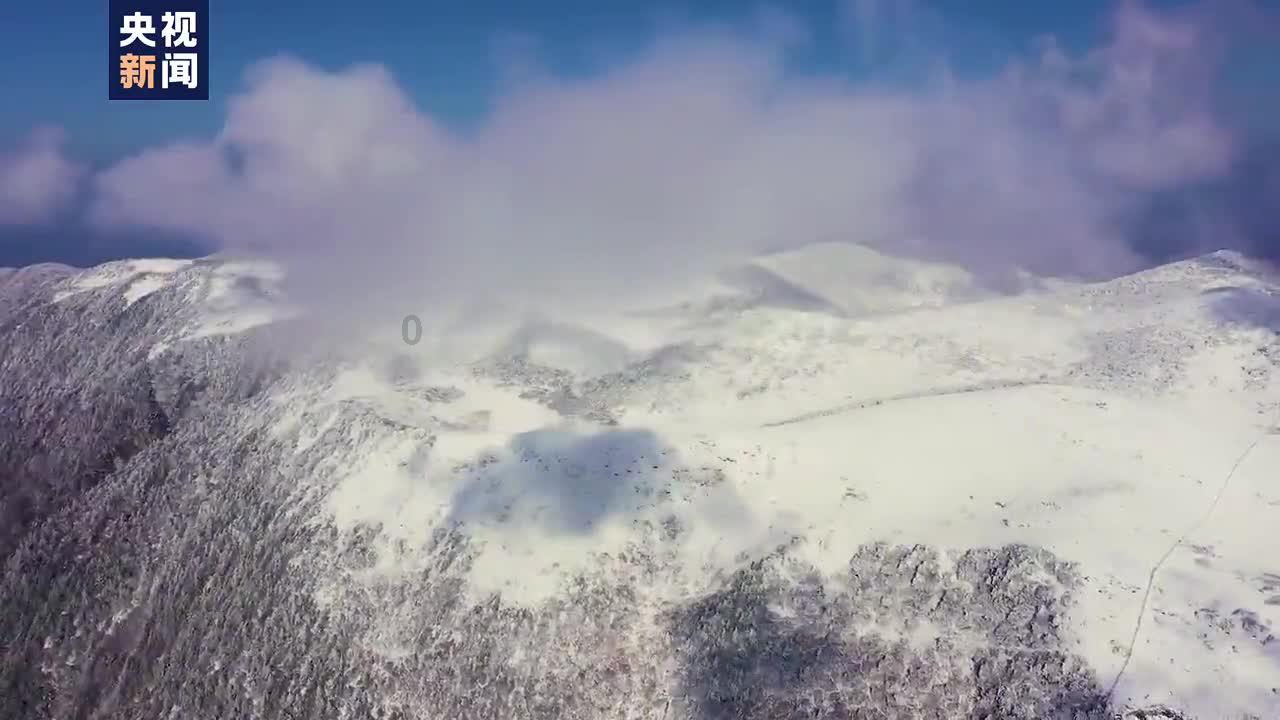再婚家庭,你会生个孩子吗?- 专业有问必答平台,快速解答你的疑问